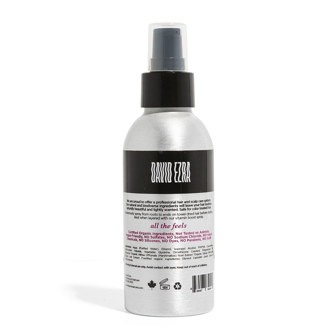 David Ezra DE Pro Volume Mist - David Ezra Professional Haircare